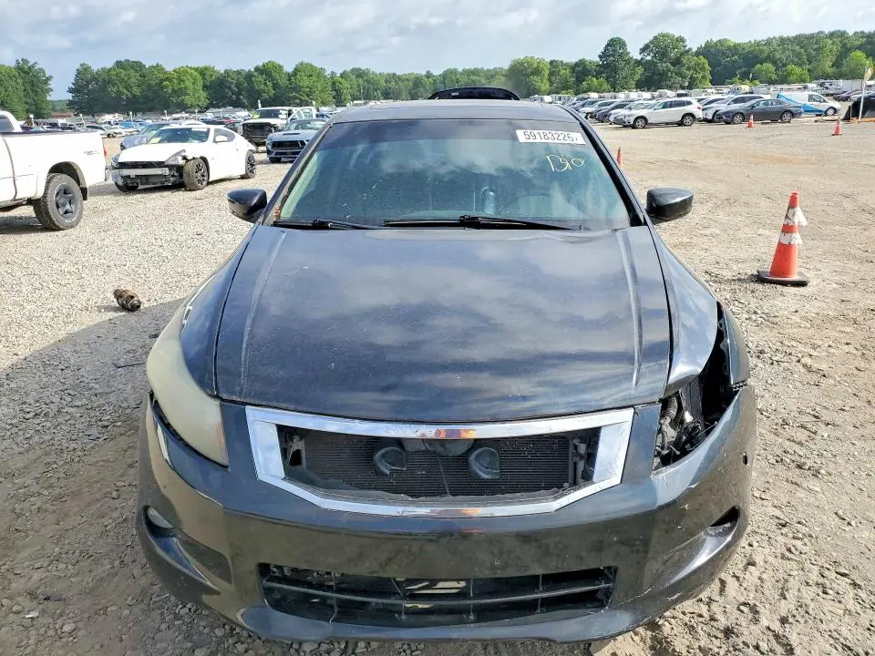 2010 HONDA ACCORD EXL  