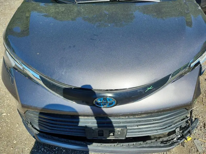 2021 TOYOTA SIENNA LE  