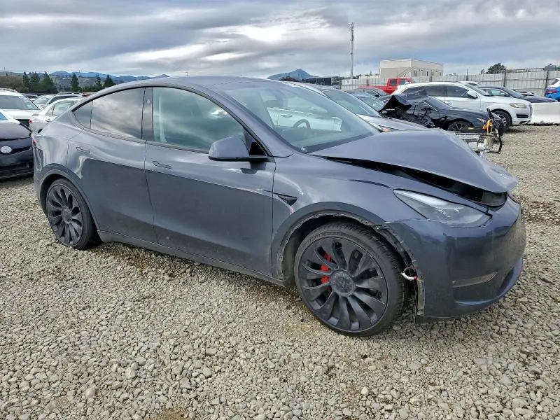 2023 TESLA MODEL Y   