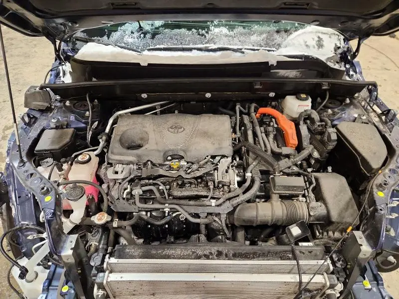 2021 TOYOTA VENZA LE  