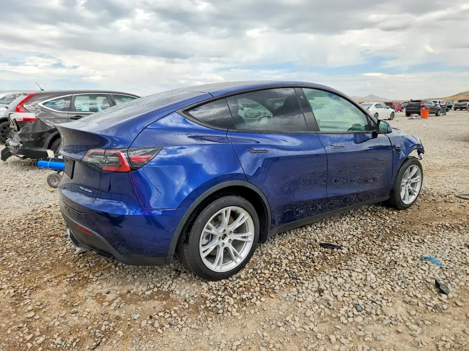 2021 TESLA MODEL Y   