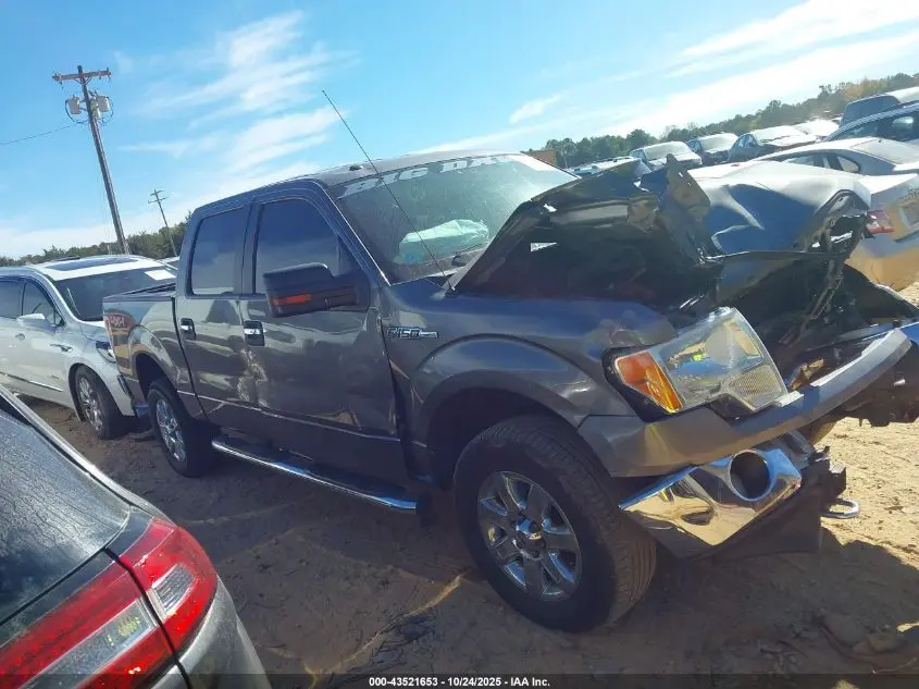 2013 FORD F-150 XLT