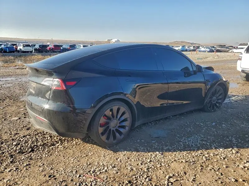 2025 TESLA MODEL Y   