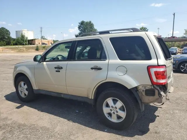 2010 FORD ESCAPE XLT  