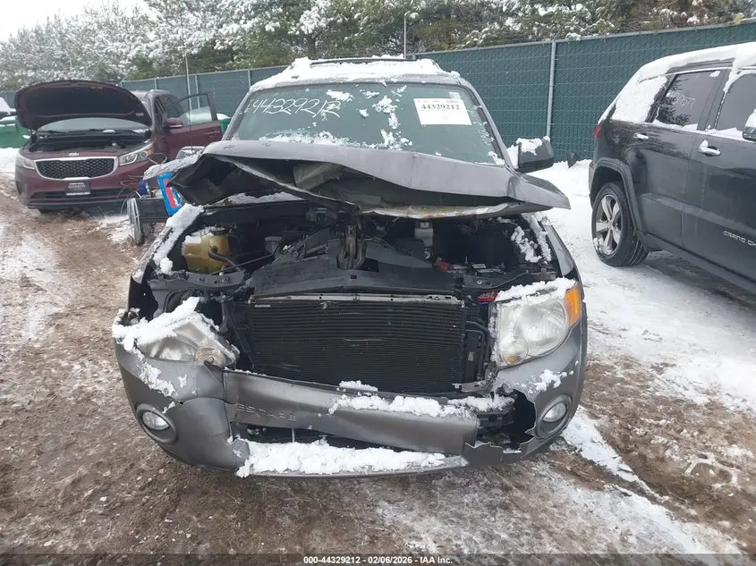 2010 FORD ESCAPE XLT