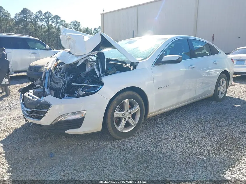 2024 CHEVROLET MALIBU FWD 1LT