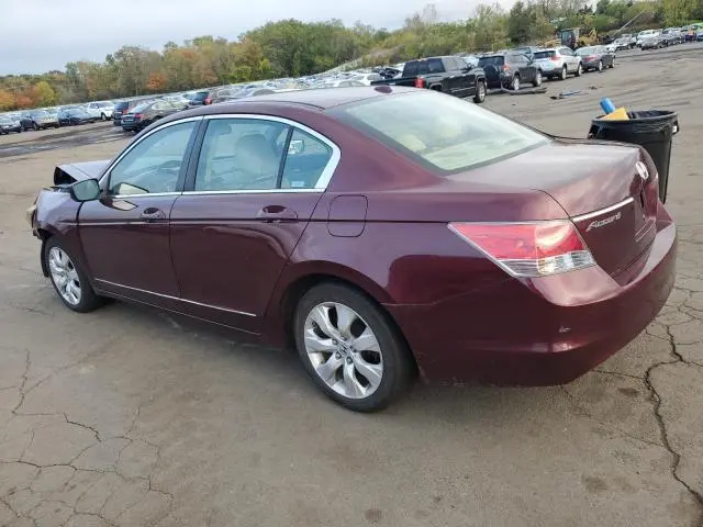 2010 HONDA ACCORD EXL  