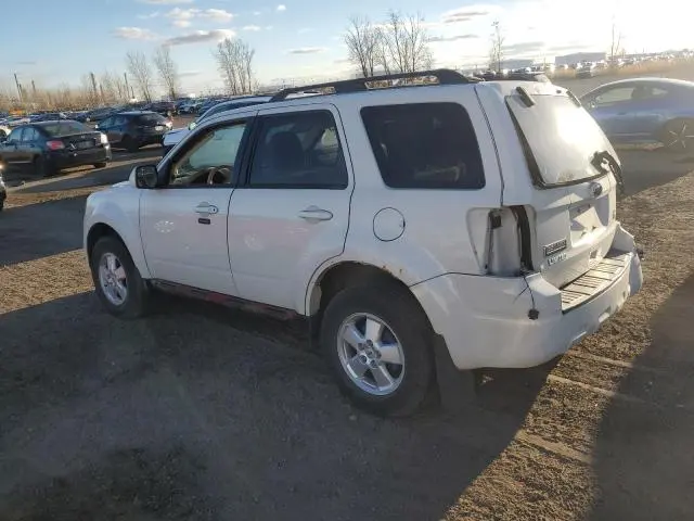 2011 FORD ESCAPE XLT  