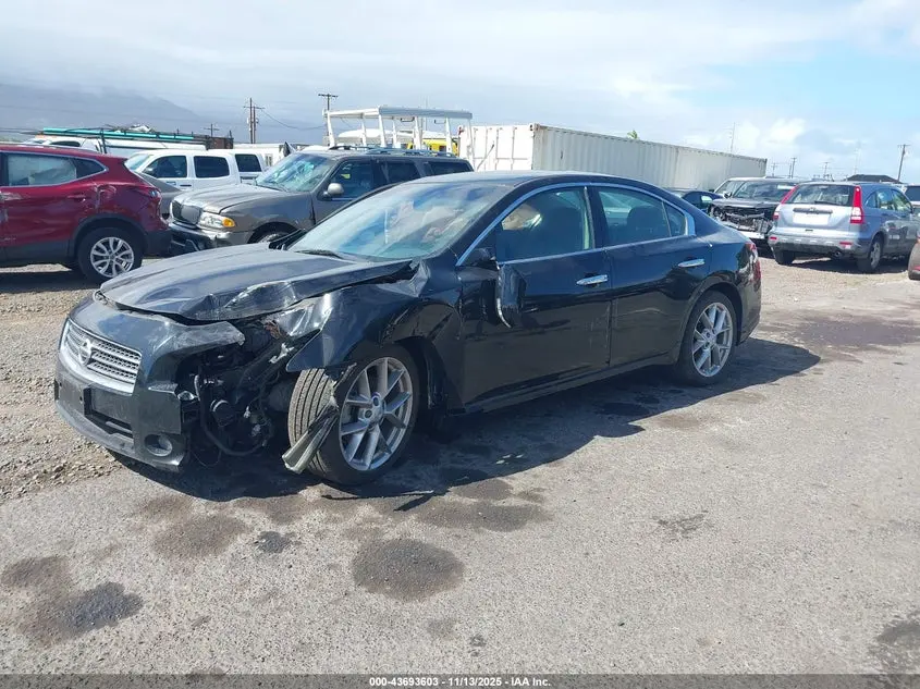 2010 NISSAN MAXIMA 3.5 SV