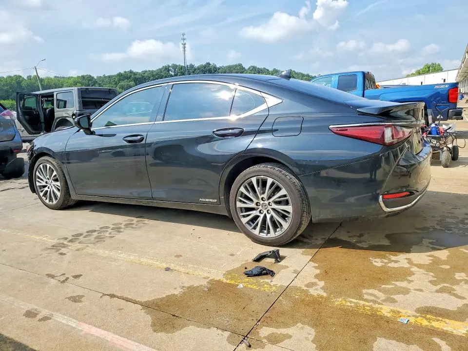 2019 LEXUS ES   