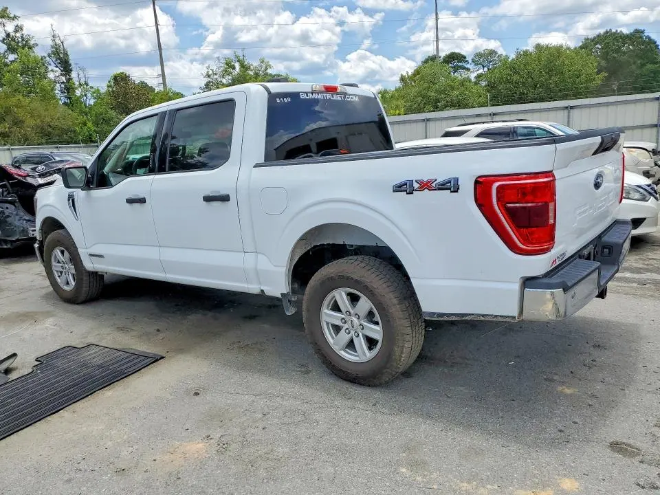 2023 FORD F150 SUPERCREW  