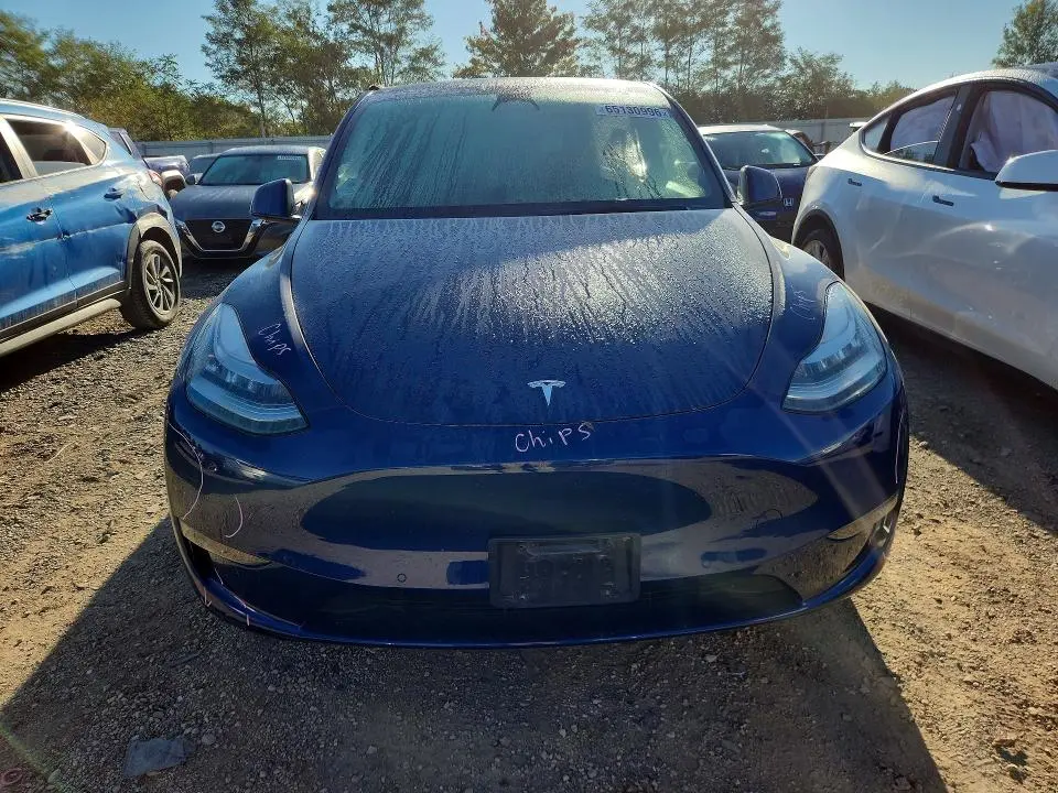 2021 TESLA MODEL Y   