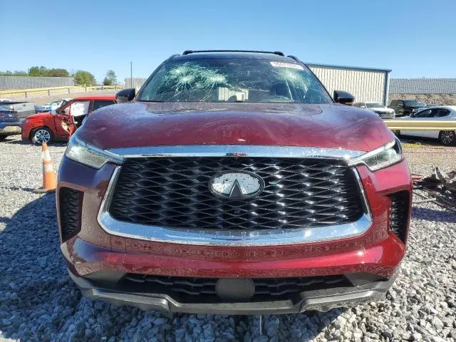 2025 INFINITI QX60 AUTOGRAPH  