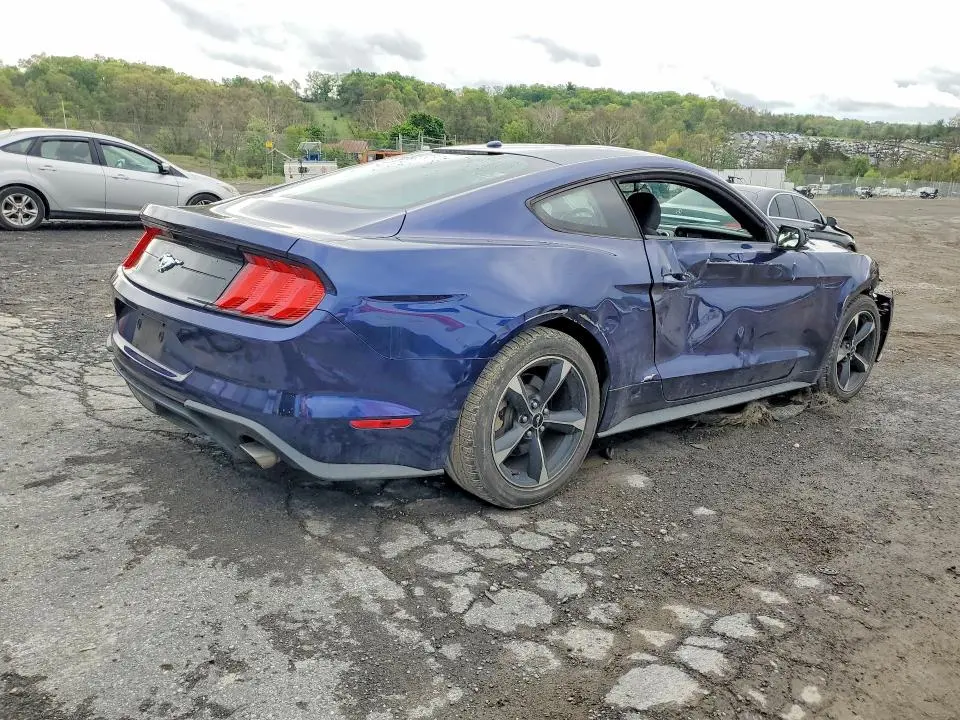 2019 FORD MUSTANG   