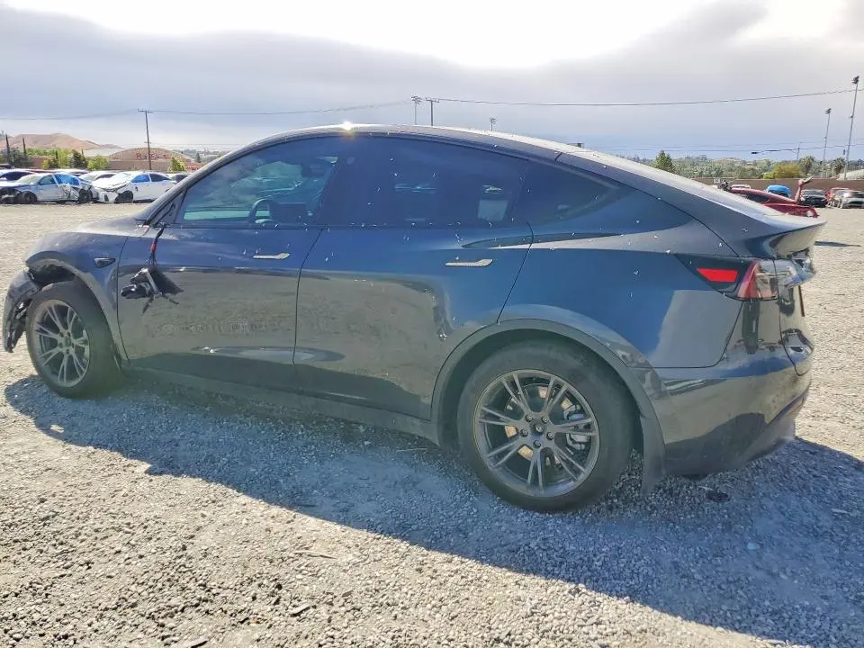 2025 TESLA MODEL Y   