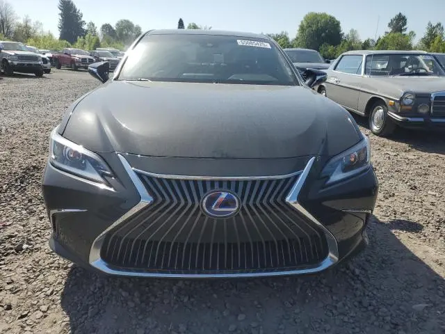 2019 LEXUS ES 300H  