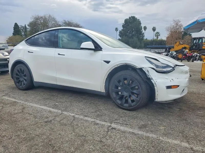 2021 TESLA MODEL Y   