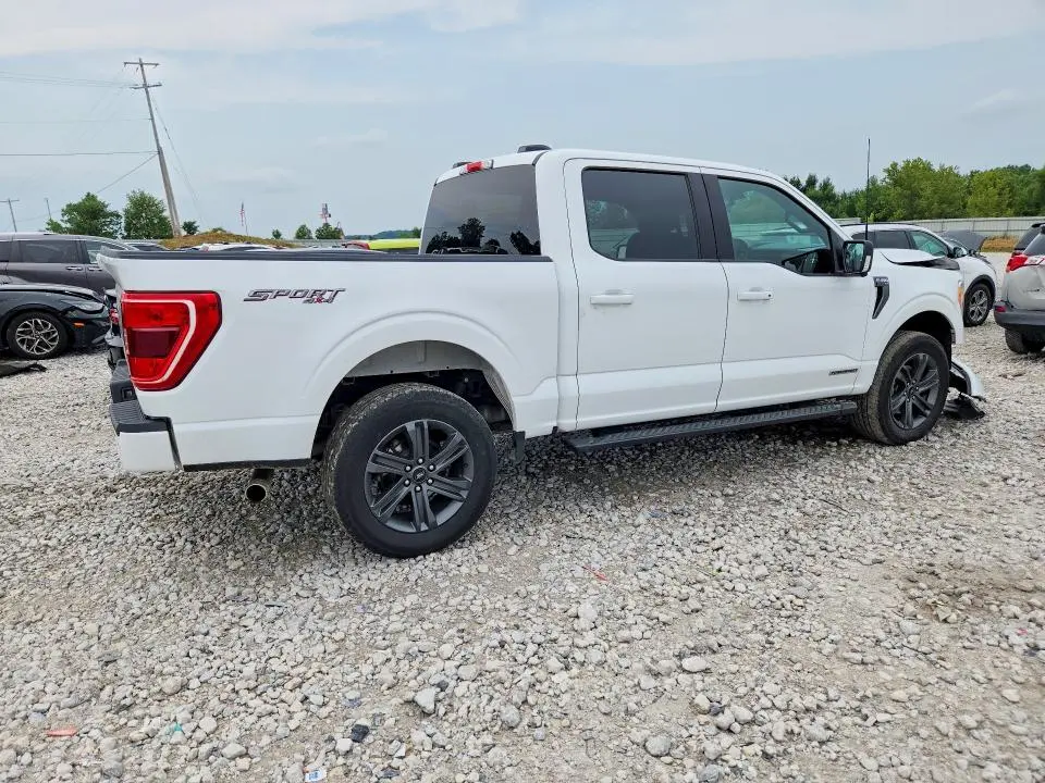 2023 FORD F150 SUPERCREW  