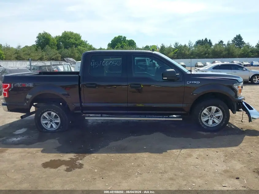 2019 FORD F-150 XLT