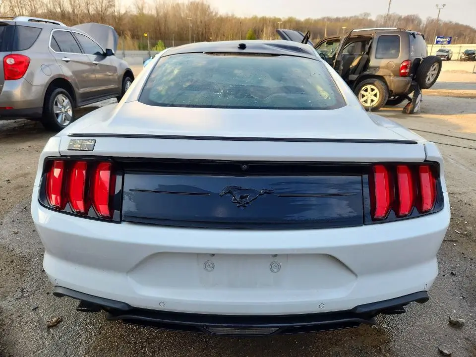 2019 FORD MUSTANG   