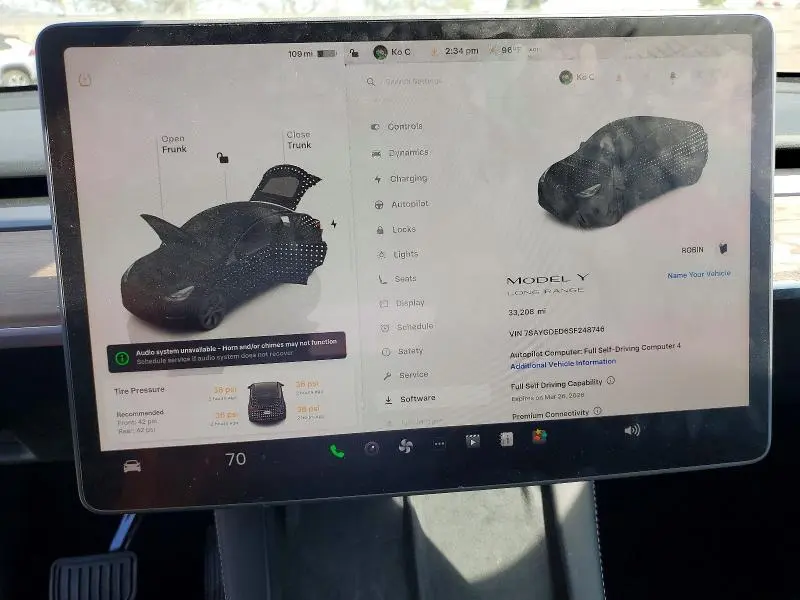 2025 TESLA MODEL Y   