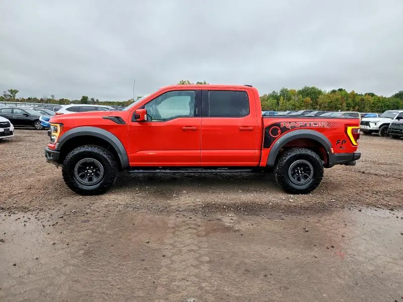 2022 FORD F150 RAPTOR  