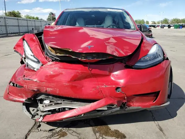 2021 TESLA MODEL Y   