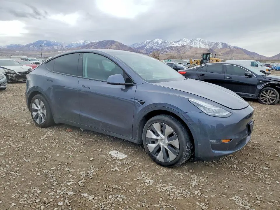 2020 TESLA MODEL Y   