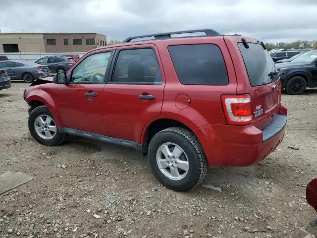2010 FORD ESCAPE XLT  