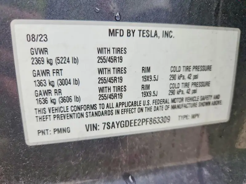 2023 TESLA MODEL Y   