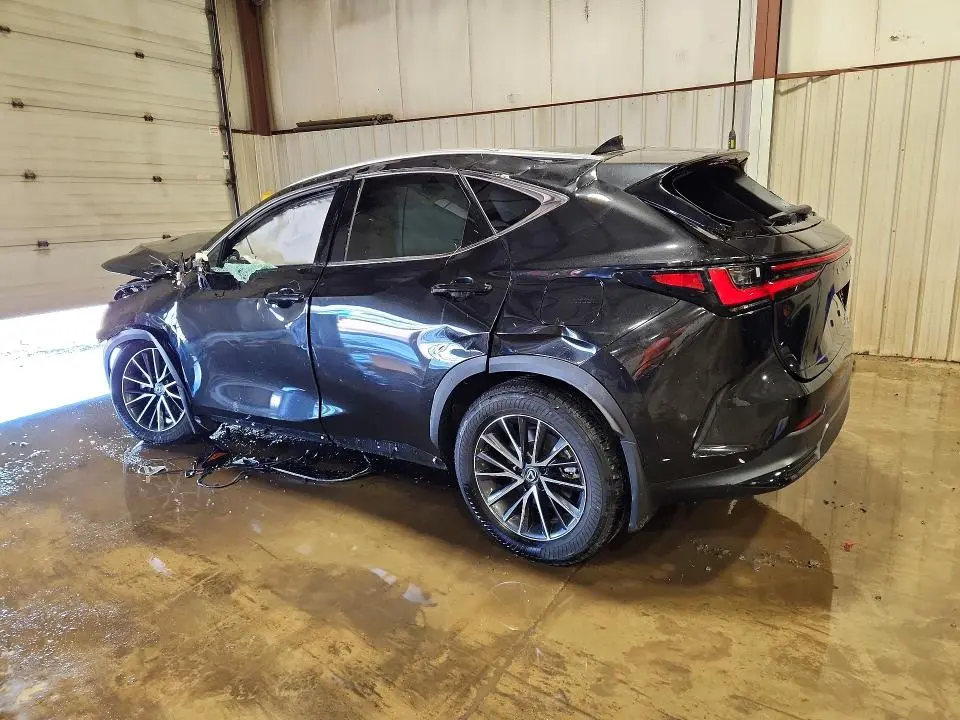 2024 LEXUS NX 350 BASE  