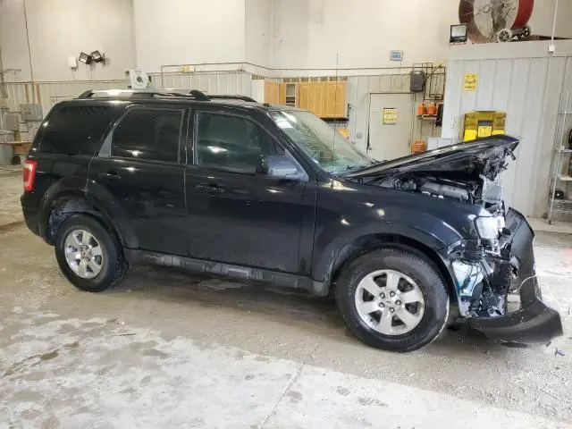 2010 FORD ESCAPE LIMITED  