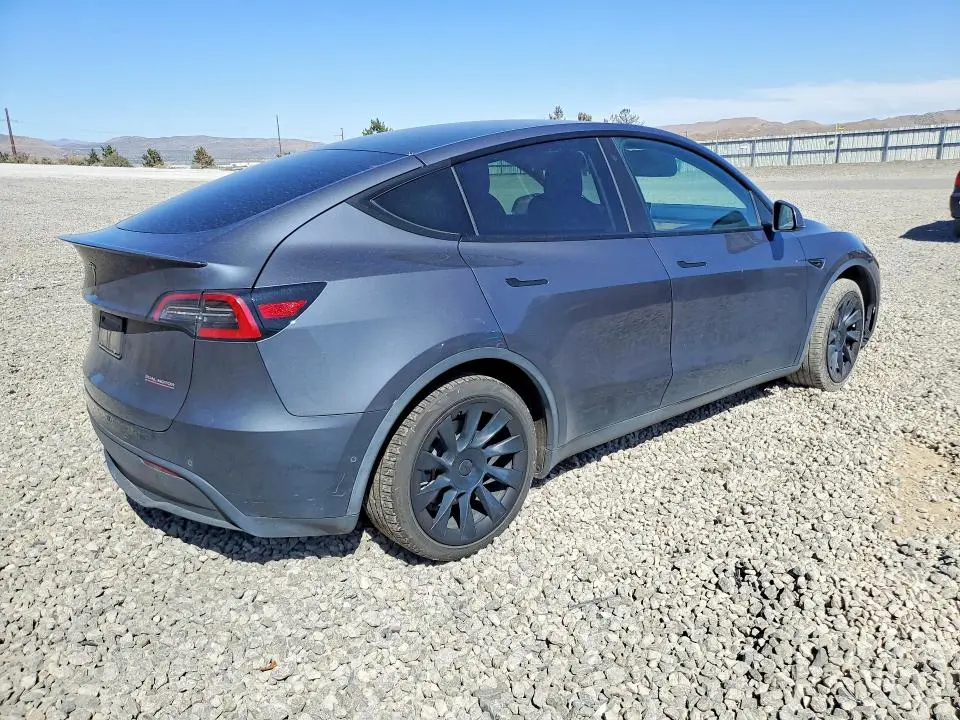 2020 TESLA MODEL Y   