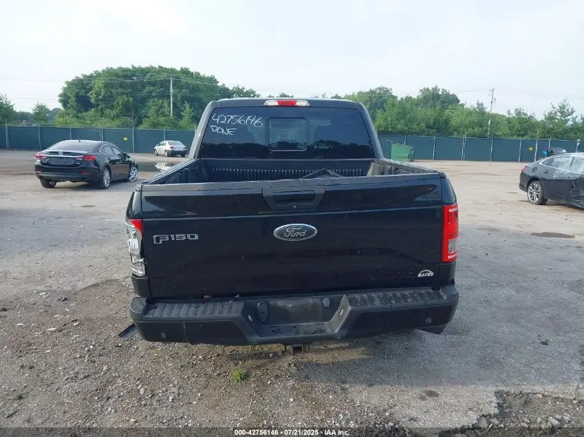 2015 FORD F-150 XLT
