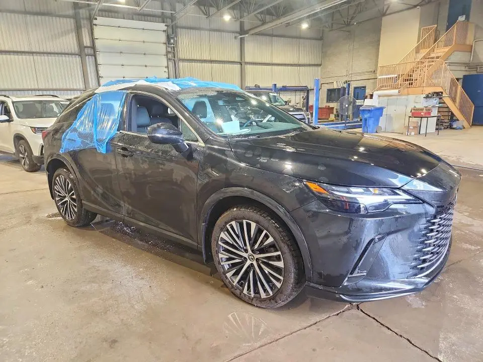 2025 LEXUS RX 350  
