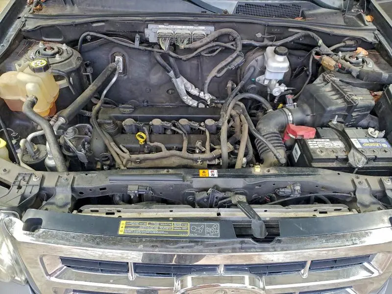 2010 FORD ESCAPE XLT  