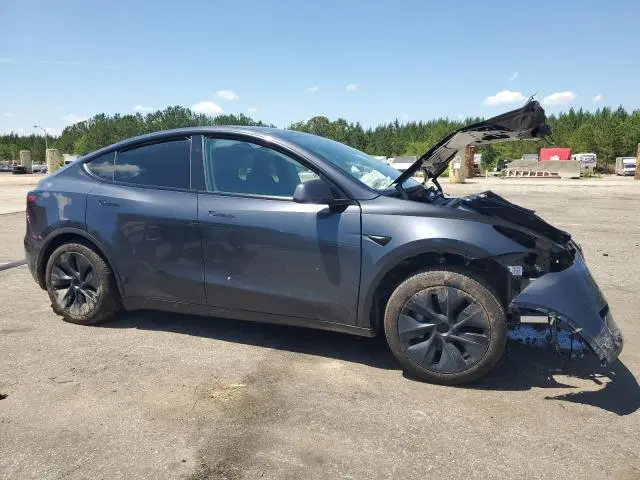2025 TESLA MODEL Y   
