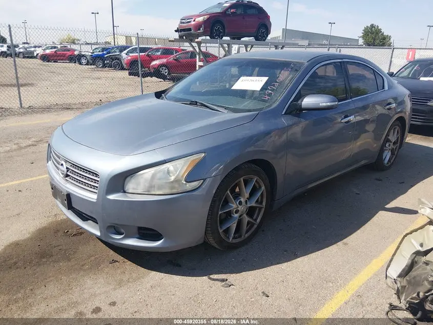 2010 NISSAN MAXIMA 3.5 SV