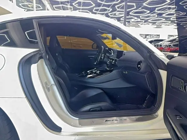 2017 MERCEDES-BENZ AMG GT   