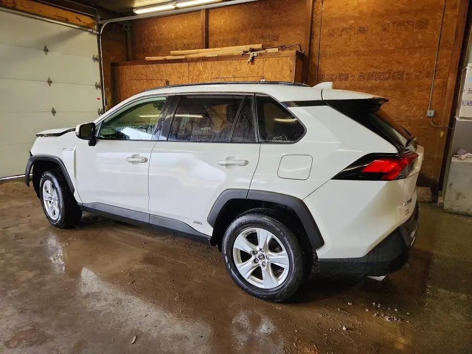 2019 TOYOTA RAV4 LE  
