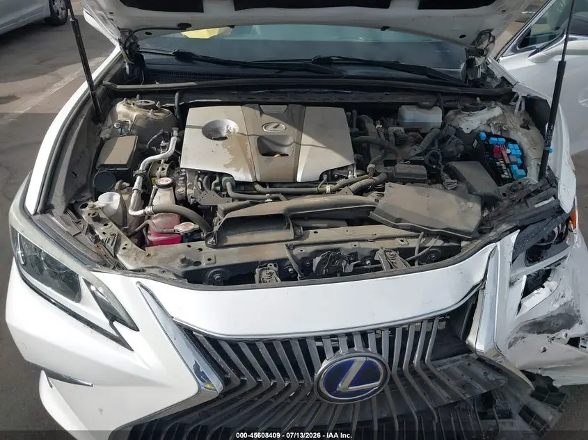 2019 LEXUS ES 300H  