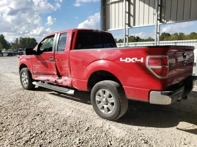 2010 FORD F150 LARIA