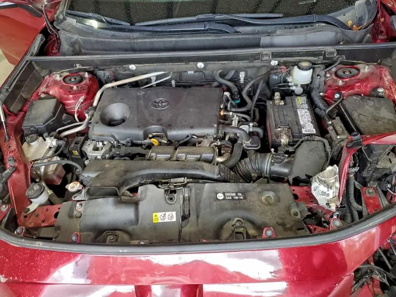 2019 TOYOTA RAV4 XLE  