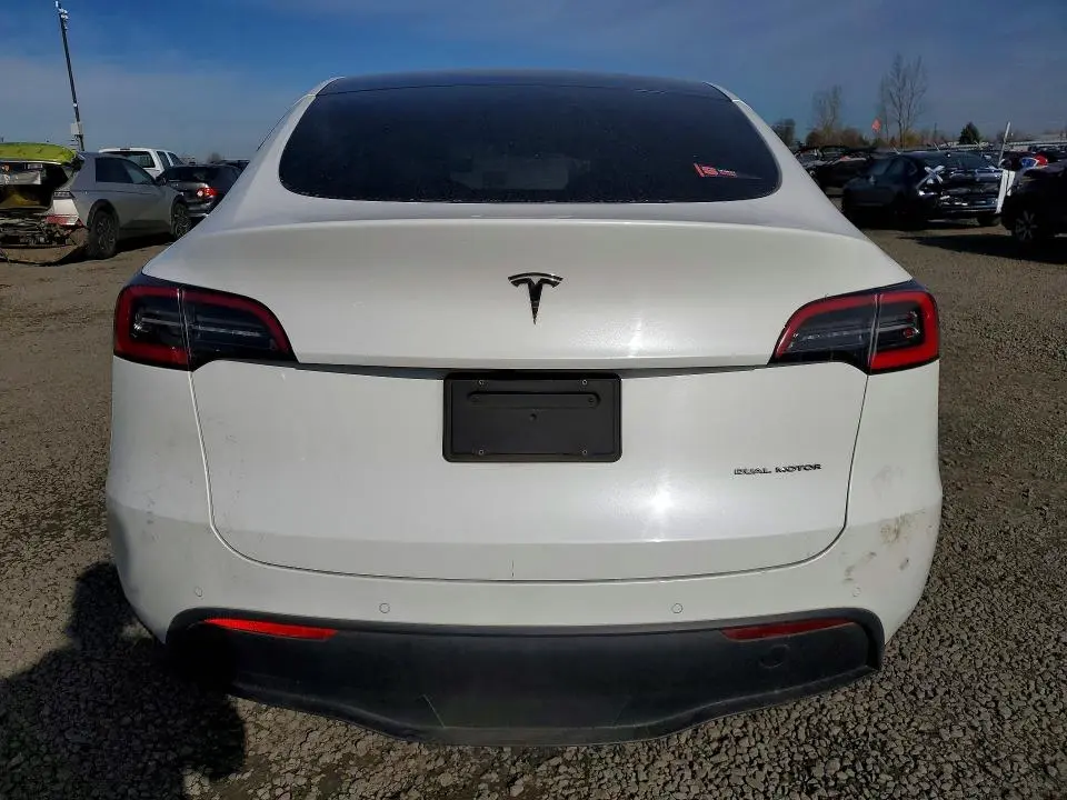 2020 TESLA MODEL Y   
