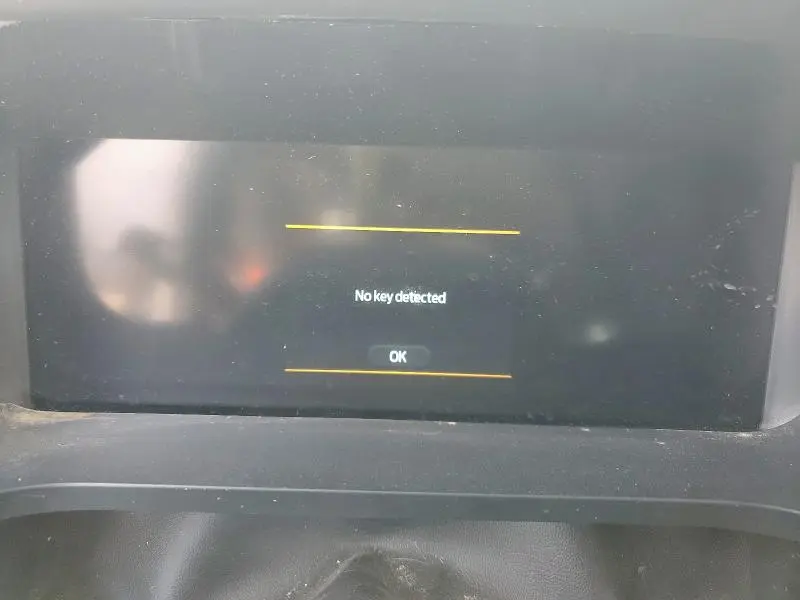 2024 FORD F150 RAPTOR  