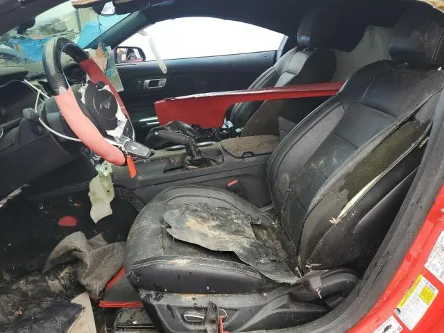 2019 FORD MUSTANG GT