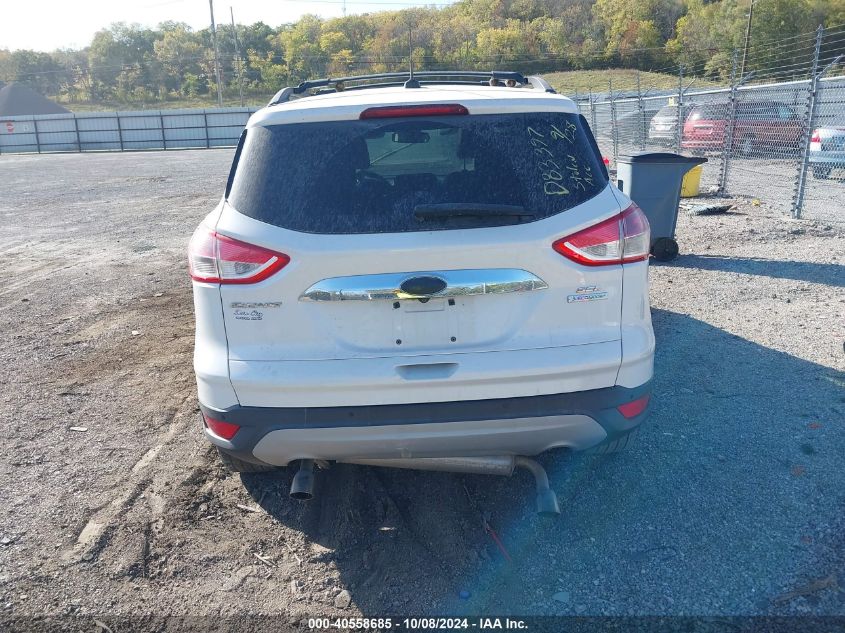 2013 FORD ESCAPE SEL