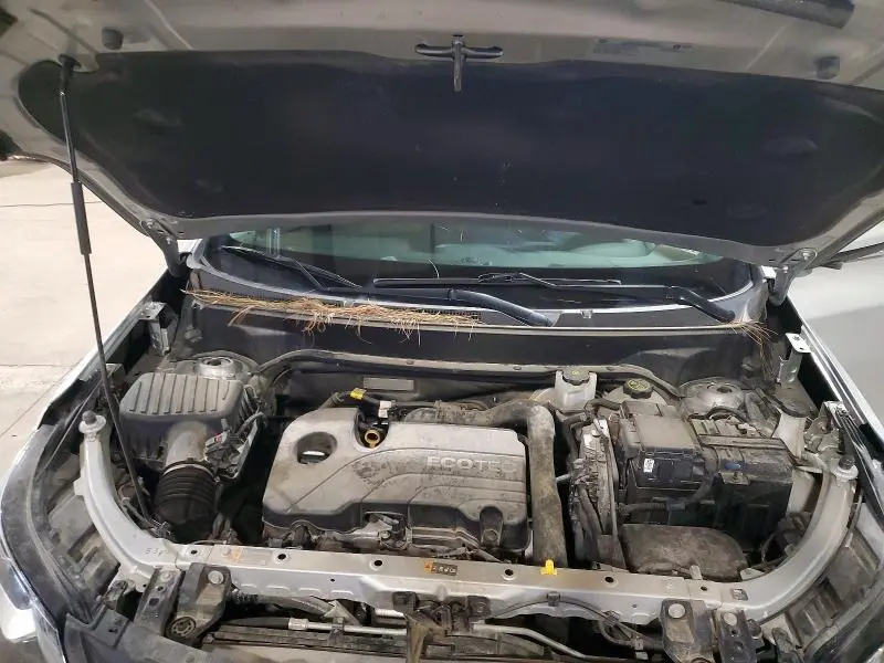 2019 CHEVROLET EQUINOX LT (1LT)  