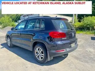 2017 VOLKSWAGEN TIGUAN S  