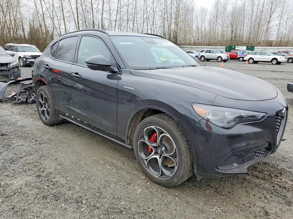 2024 ALFA ROMEO STELVIO TI  